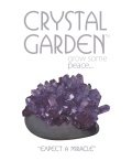 Jardim de cristal (Roxo da Paz)